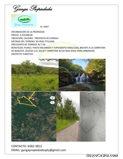 FINCA DE 30 HECTAREAS, CHIRIQUI CALDERA (NEGOCIABLE)