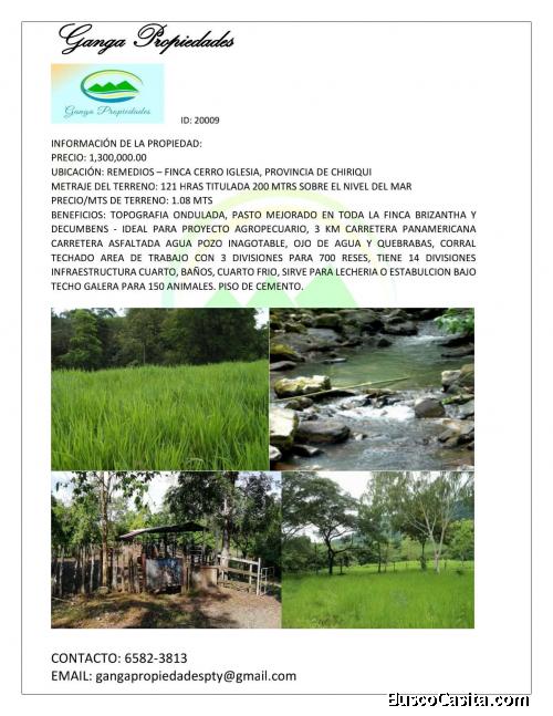 FINCA DE 121 HECTAREAS CHIRIQUI, REMEDIOS ( NEGOCIABLE)