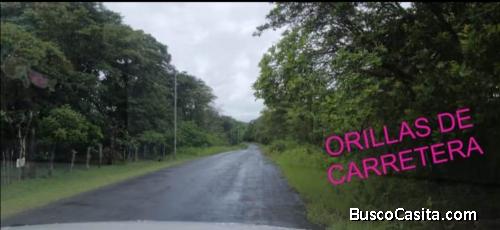 FINCA DE 30 HECTAREAS, CHIRIQUI, BOQUETE CALDERA.