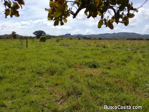 FINCA 125 HECTAREAS VERAGUAS EL HIGO