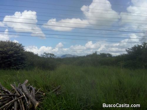 Propiedad en Vía Interamericana en Penonomé-Coclé 