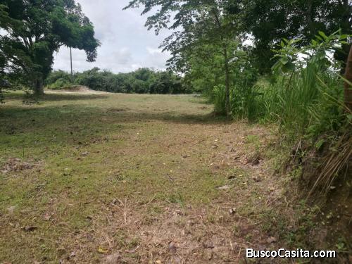 VENDO PEQUEÑA FINQUITA DE 2351 MTS TITULADA Y A ORILLA DE CALLE