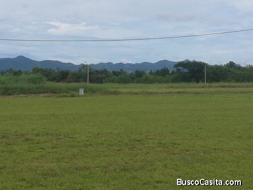  LOTES CAMPESTRES DE 895 mt2, 1001 mt2  y 1,048 mt2 CERCA A PLAYAS 