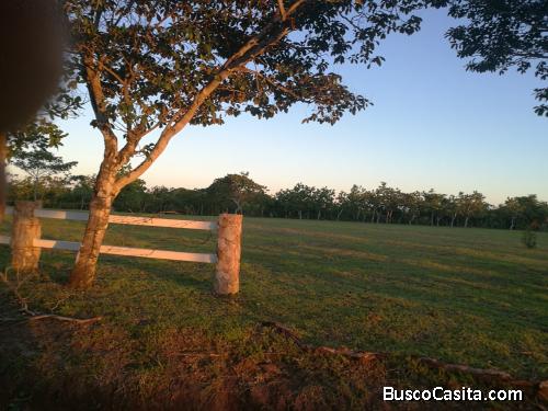 VENDO HERMOSO LOTE DE 1003 MTS TITULADO AGUA Y LUZ CERCA A RIO HATO