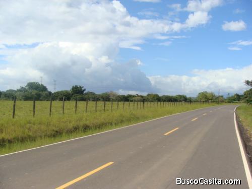 VENDO 19 HECTAREAS,  AL LADO DE ZONIFICACIÓN INDUSTRIAL CERCA A RIO HATO