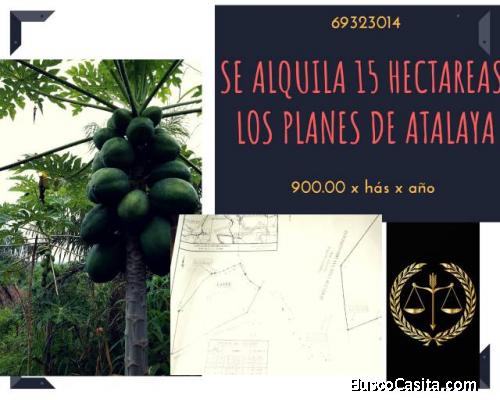 Se alquilan 15 hectareas En Veraguas. 