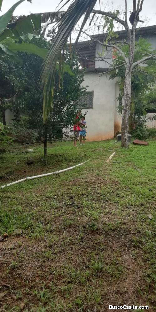 Vendo casa con terreno 