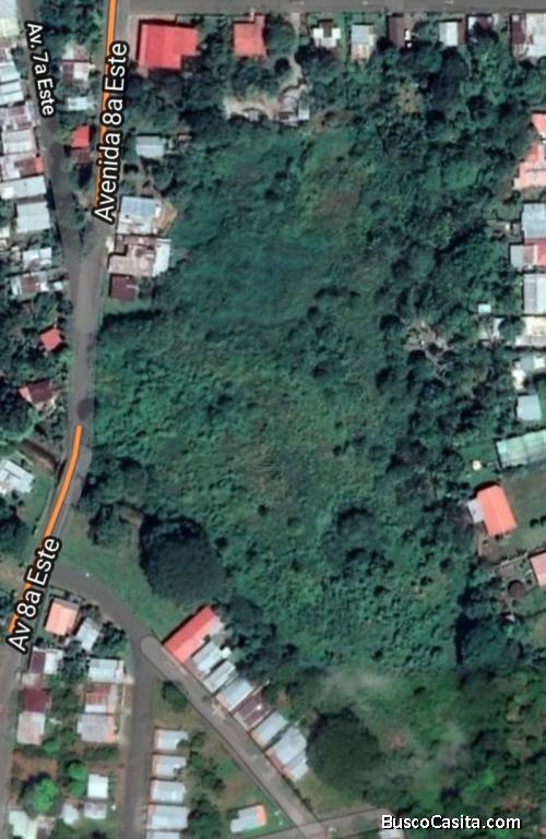 TERRENO DE 4.62 HECTAREAS UBICADO EN DAVID CENTRICO 