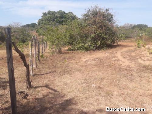 VENDO TERRENO DE 3 HECTAREAS (GANGA)