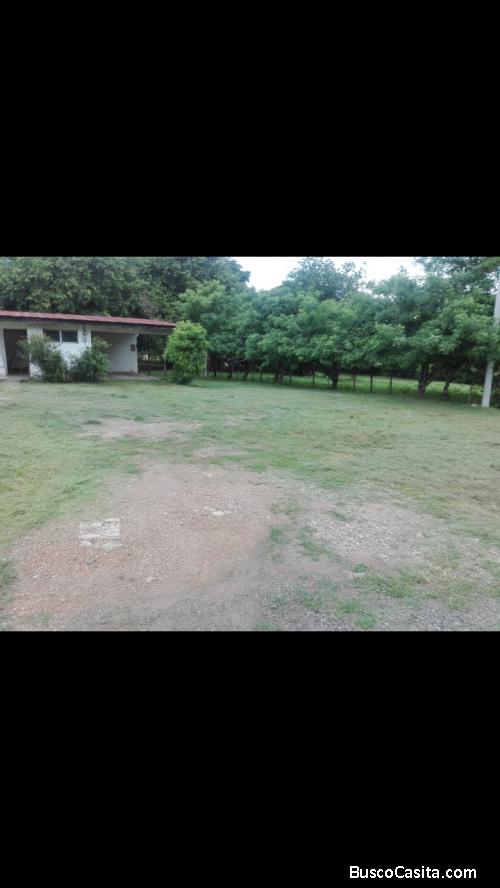 Se vende terreno 1 hectarea 3/4 y casa incluida, Natá, los caños