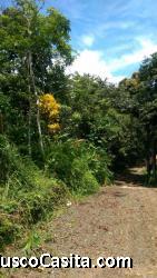 VENDO TERRENO EN PANAMA CALZADA LARGA 12.50 M2