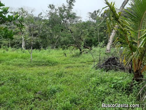 Lote, Finca, Terreno