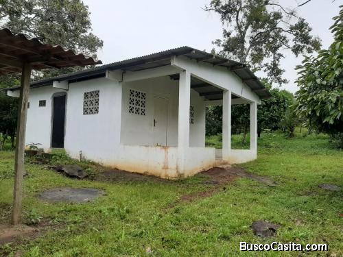 Lote, Finca, Terreno y casa