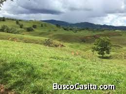 Finca de 105 con 3,256 mt2 en la Mesa de Veraguas 