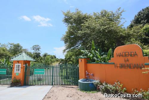 Lote - 3575 M2  - Residencial Hacienda La Florenciana - San Carlos