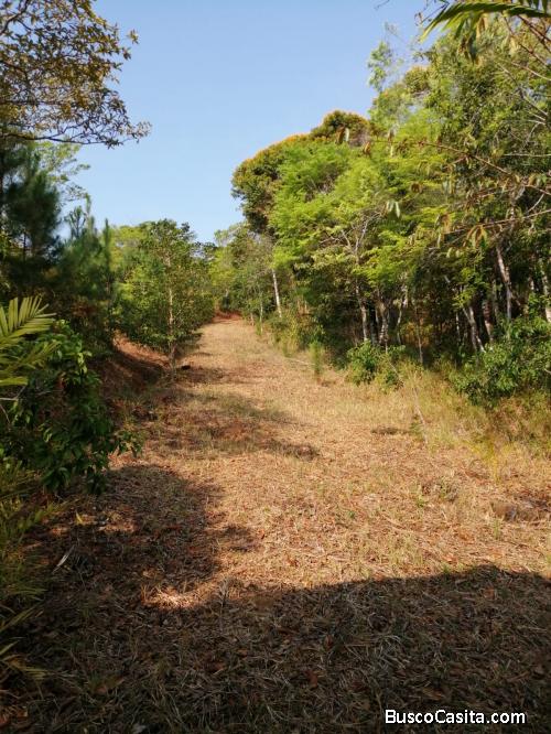 Vendo Lote de Terreno en Cerro Azul - 2018.68 m2 | B/.48,500  (precio de oferta)