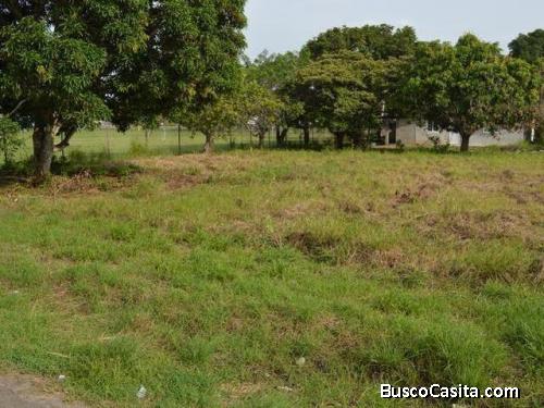 Alquiler Lote cerca interamericana y Mall Gorgona