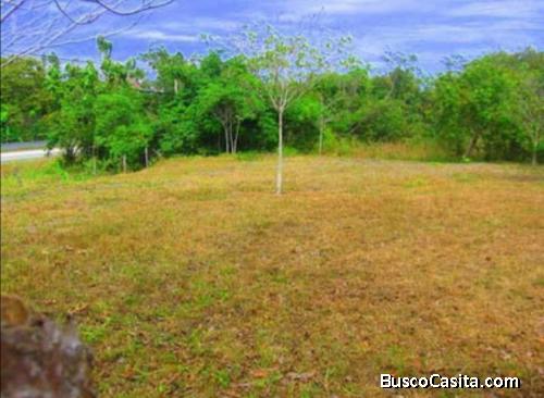 Lote en alquiler Interamericana  La Ermita- San Carlos