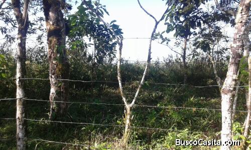 Terreno en Cuesta de Piedra, Chiriquí