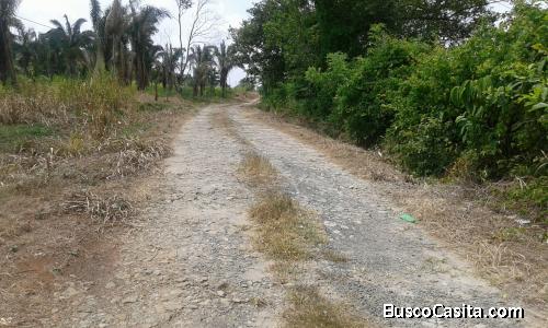 Terreno de 20 hectáreas en Camino hacia Las Mendozas, Chorrera