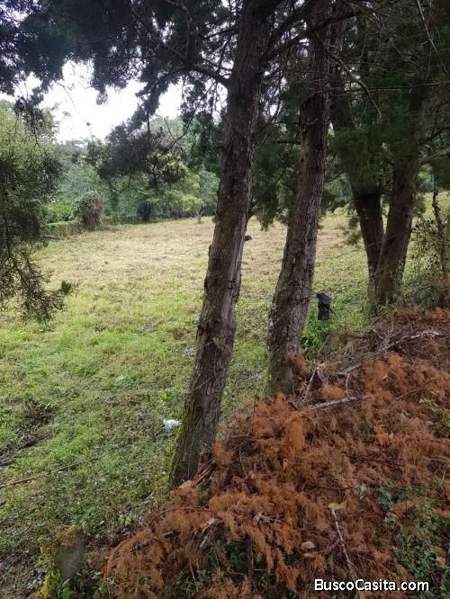 FINCA EN BOQUETE , EN ALTO QUIEL