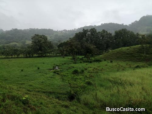 SE VENDE HERMOSA FINCA COLÓN, BUENAVENTURA, MEDIA LUNA, 5 MINUTOS ANTES DE LLEGAR A PORTOBELO