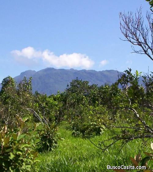 Se vende finca en Potrerillos