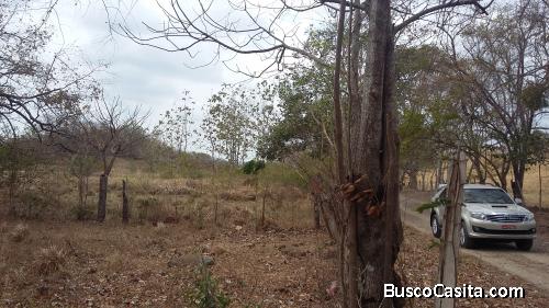 Se vende finca en La Chorrera/ 42 has