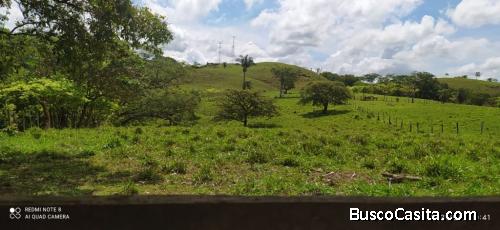 venta de finca san lorenzo