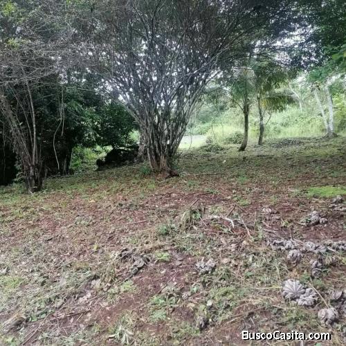 TERRENO PARA LA VENTA