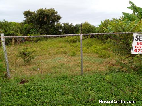 VENDO 3 LOTES DE TERRENO CERCANOS A PLAYA EL AGALLITO CHITRE