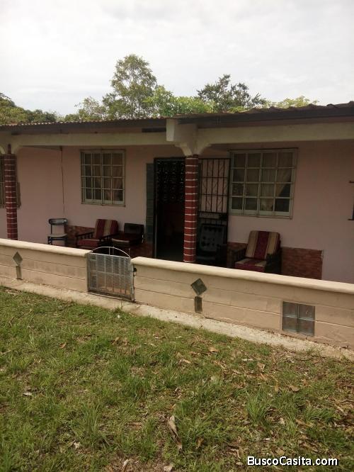 VENDO FINCA EN RIO HATO