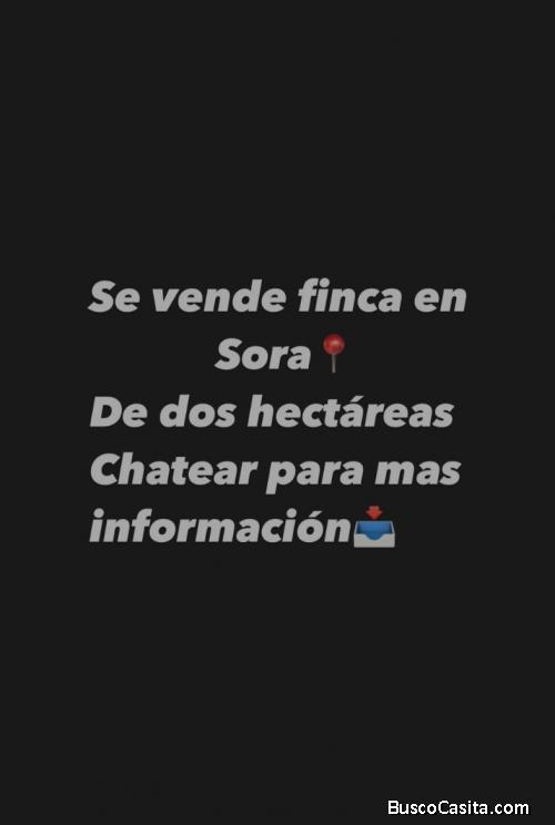 Se vende 2 hectáreas en Panamá sora 