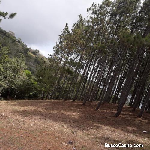 VENTA DE TERRENO, SORA, CHAME 