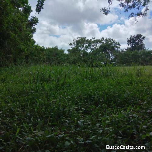 Venta de Terreno 1810,38m2 Bugaba