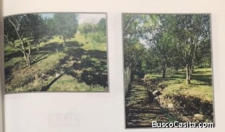 Vendo terreno en Chiriquí Potrerillos Arriba, 1960 m2, todos los servicios públicos.