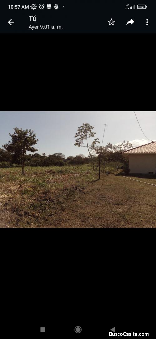 Terrenos en área de playa