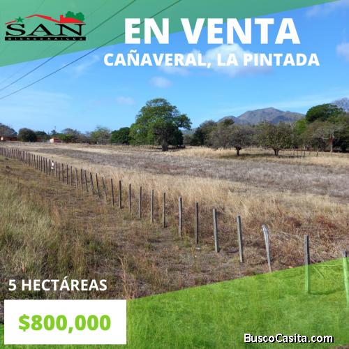 En venta en Cañaveral, LA PINTADA, PENONOME
