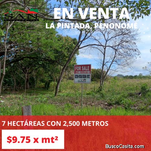 Terreno en venta en La Pintada de Penonomé