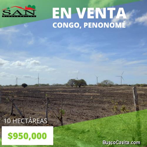 Oferta de Terreno en Penonomé
