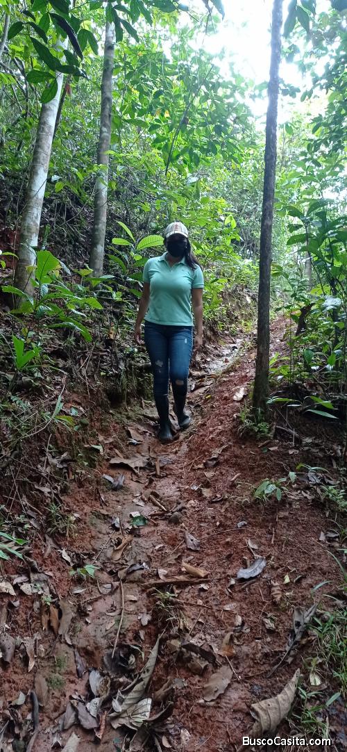 Se Vende Finca  de 21.4Ha en la honda de Cápira