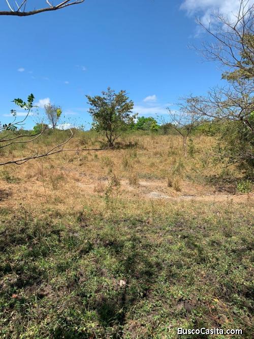 SE VENDE FINCA 10.5 HECTAREAS EN RIO CHICO, PACORA