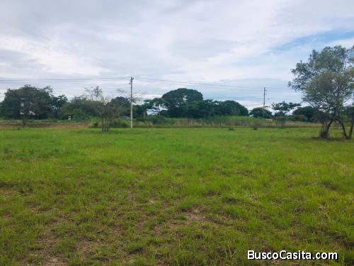 Se Vende Terreno a orilla de la Interamericana - San Carlos