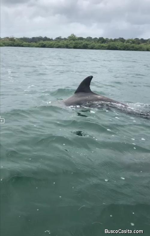 Venta de tierras en Isla en Panamá