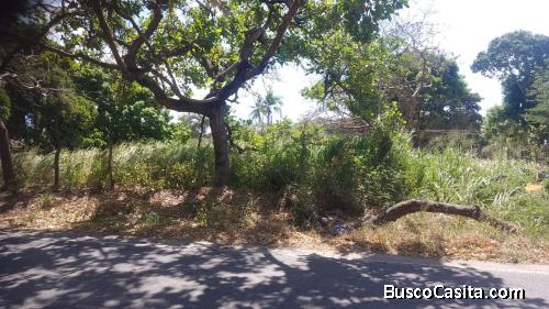 Vendo lote en Gorgona