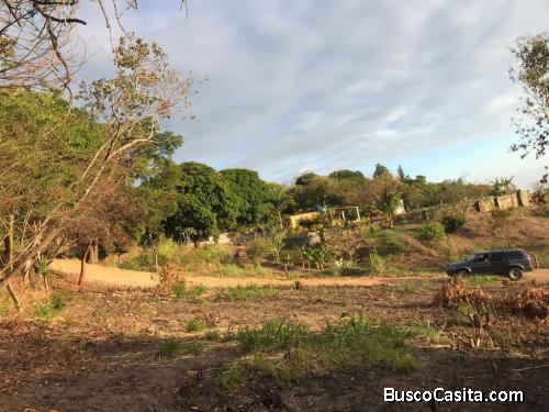 ULTIMO LOTE DE 639 m2 