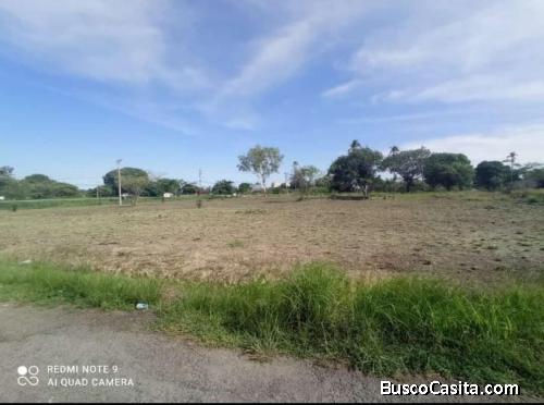 IDEAL PARA COMERCIO  A ORILLA DE LA INTERAMERICANA