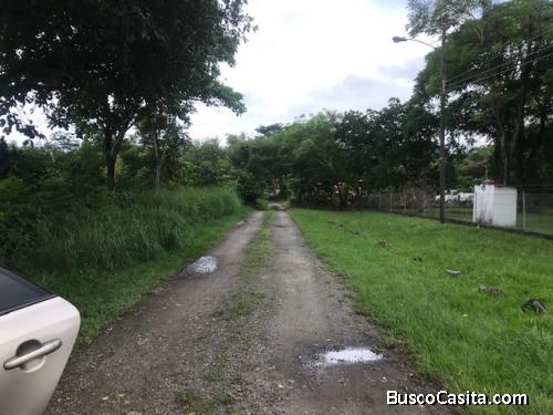 VENDO 5,000M2 DE TERRENO  EN CHAME  ENTRANDO POR POWER GEN $250,000.00