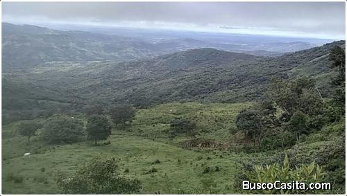 Improved Pasture With Your Own Waterfall - 12.1414 HA  30 Acres (Alto El Cope, Caldera, Boquete)