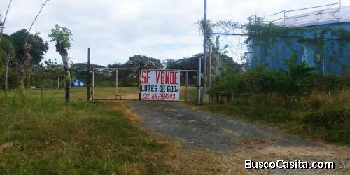 Terrenos en Anton, desde 600 mts2